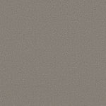 Load image into Gallery viewer, Shaw Aerial View — Dark Slate 00503 carpet
