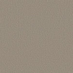 Load image into Gallery viewer, Shaw Aerial View — Artisan Taupe 00700 carpet
