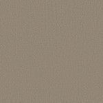 Load image into Gallery viewer, Shaw Aerial View — Burnished Clay 00701 carpet
