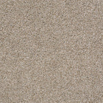 Load image into Gallery viewer, Poised Shaw nylon carpet
