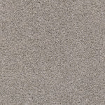 Load image into Gallery viewer, Shaw Poised - Great Greige (00114) - 5E042-00114
