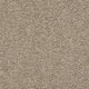 Cork (00220)