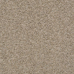 Load image into Gallery viewer, Shaw Poised - Cork (00220) - 5E042-00220
