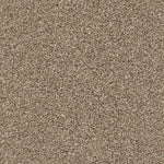 Load image into Gallery viewer, Shaw Poised - Brown Sugar (00710) - 5E042-00710
