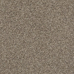 Load image into Gallery viewer, Shaw Poised - Chic Taupe (00714) - 5E042-00714
