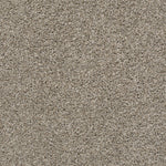 Load image into Gallery viewer, Shaw Poised - Studio Loft (00722) - 5E042-00722
