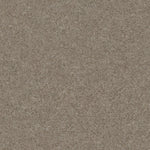 Load image into Gallery viewer, Shaw Heroic - Free Spirit (00790) - 5E287-00790
