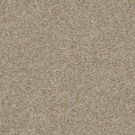 Load image into Gallery viewer, Shaw Valiant - Balboa Mist (00135) - 5E288-00135
