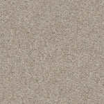 Load image into Gallery viewer, Shaw Valiant - Quiet Moment (00191) - 5E288-00191

