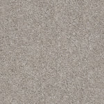 Load image into Gallery viewer, Shaw Valiant - La Paloma (00192) - 5E288-00192
