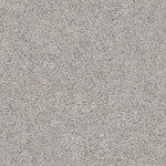 Load image into Gallery viewer, Shaw Valiant - Silver Song (00590) - 5E288-00590
