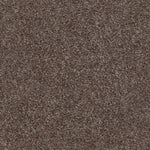 Load image into Gallery viewer, Shaw Valiant - Plymouth Rock (00792) - 5E288-00792
