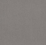 Load image into Gallery viewer, Mainstay Shaw nylon carpet
