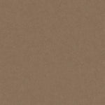 Load image into Gallery viewer, Shaw Mainstay - Raw Wood (00720) - 5E292-00720
