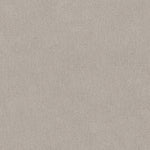 Load image into Gallery viewer, Shaw Chic Nuance - Winters Dawn (00102) - 5E341-00102
