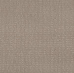 Load image into Gallery viewer, Shaw Chic Nuance - Fossil Path (00108) - 5E341-00108
