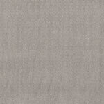 Load image into Gallery viewer, Shaw Chic Nuance - Silver Lining (00500) - 5E341-00500
