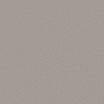 Load image into Gallery viewer, Shaw Chic Shades - Silver Lining (00500) - 5E342-00500
