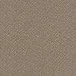 Load image into Gallery viewer, Shaw Chic Shades - Desert View (00701) - 5E342-00701
