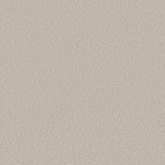 Load image into Gallery viewer, Shaw Harmonious I - Gallery Opening (00125) - 5E438-00125
