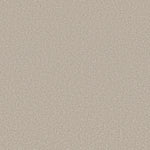 Load image into Gallery viewer, Shaw Harmonious I - Champagne Toast (00153) - 5E438-00153
