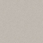 Load image into Gallery viewer, Shaw Alluring Canvas — Winters Dawn 00102 carpet
