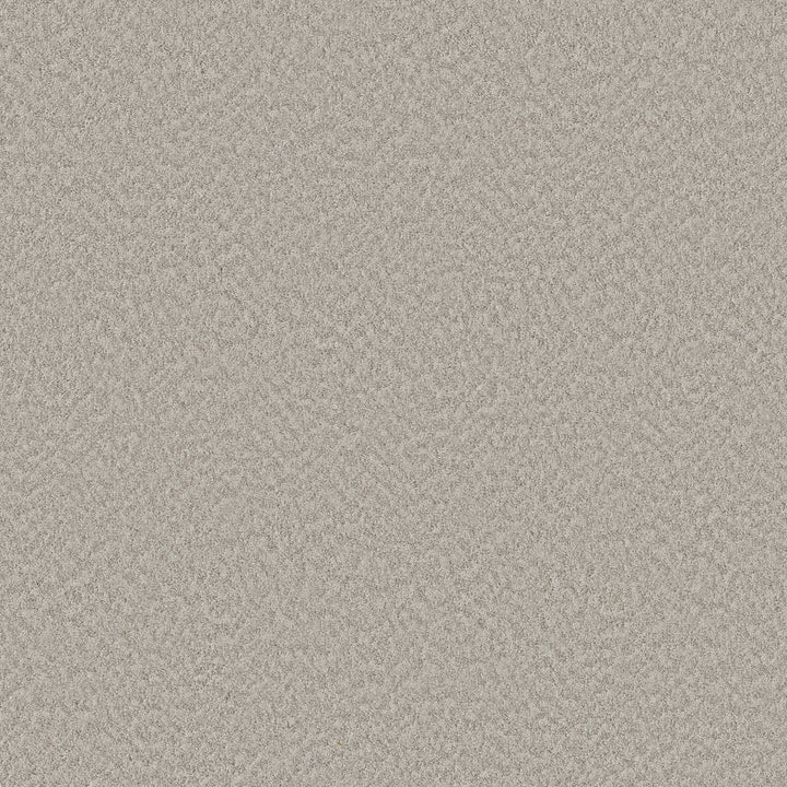 Alluring Canvas