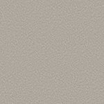 Load image into Gallery viewer, Alluring Canvas Shaw nylon carpet
