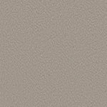 Load image into Gallery viewer, Shaw Alluring Canvas — Fossil Path 00108 carpet
