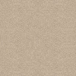 Load image into Gallery viewer, Shaw Alluring Canvas — Sun Kissed 00110 carpet
