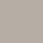 Load image into Gallery viewer, Shaw Alluring Canvas — Baltic Stone 00128 carpet
