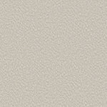Load image into Gallery viewer, Shaw Alluring Canvas — Champagne Toast 00153 carpet
