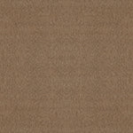 Load image into Gallery viewer, Shaw Alluring Canvas — Raw Wood 00720 carpet
