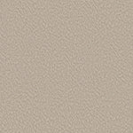 Load image into Gallery viewer, Shaw Alluring Canvas — Sandstone 00743 carpet
