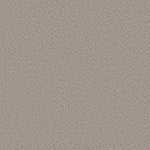 Load image into Gallery viewer, Shaw Fine Tapestry - Fossil Path (00108) - 5E446-00108
