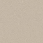 Load image into Gallery viewer, Shaw Harmonious Iii - Champagne Toast (00153) - 5E451-00153
