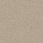 Load image into Gallery viewer, Shaw Harmonious Iii - Sandstone (00743) - 5E451-00743
