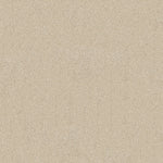 Load image into Gallery viewer, Sweet Inspiration I Shaw nylon carpet
