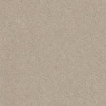 Load image into Gallery viewer, Shaw Sweet Inspiration I - Scone (00113) - 5E544-00113
