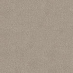 Load image into Gallery viewer, Shaw Sweet Inspiration I - Catnip (00114) - 5E544-00114
