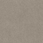 Load image into Gallery viewer, Shaw Sweet Inspiration I - Frosted Ice (00510) - 5E544-00510
