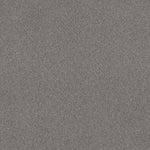 Load image into Gallery viewer, Shaw Sweet Inspiration I - Charcoal (00525) - 5E544-00525
