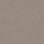 Load image into Gallery viewer, Shaw Sweet Inspiration I - Khaki (00722) - 5E544-00722

