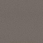 Load image into Gallery viewer, Shaw Sweet Inspiration I - Weathered Sidin (00751) - 5E544-00751
