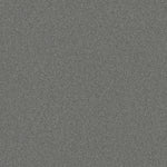 Load image into Gallery viewer, Shaw Sweet Inspiration Ii - Charcoal (00525) - 5E545-00525
