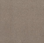 Load image into Gallery viewer, Shaw Live On Comfort - Carriage House (00742) - 5E546-00742
