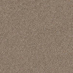 Load image into Gallery viewer, Shaw Live On Comfort - Hillcrest Tan (00769) - 5E546-00769
