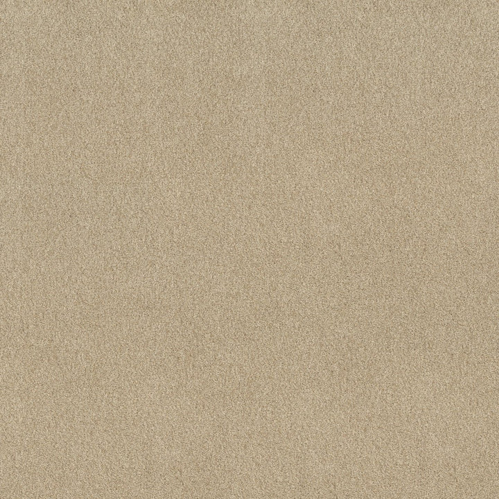 Tonal Comfort I