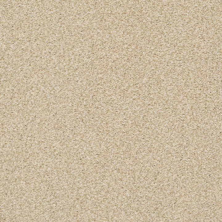 Tonal Comfort Blue