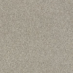 Load image into Gallery viewer, Shaw Tonal Comfort Blue - Back Patio (00724) - 5E658-00724
